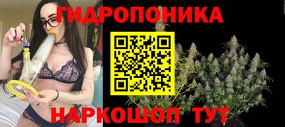 a pvp Боровичи
