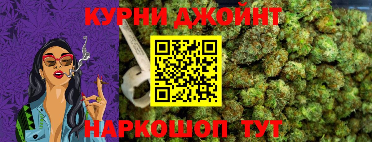 Каннабис план Соль-Илецк
